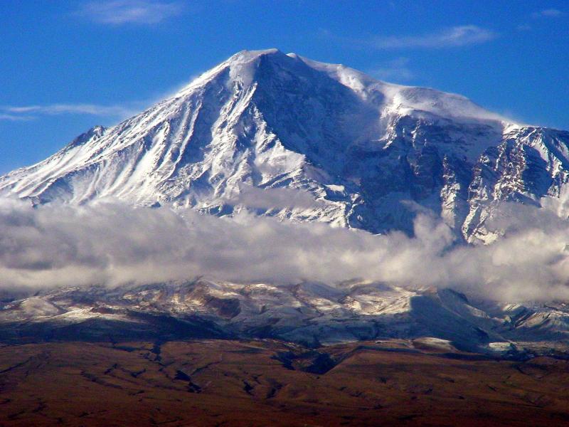mt.gif